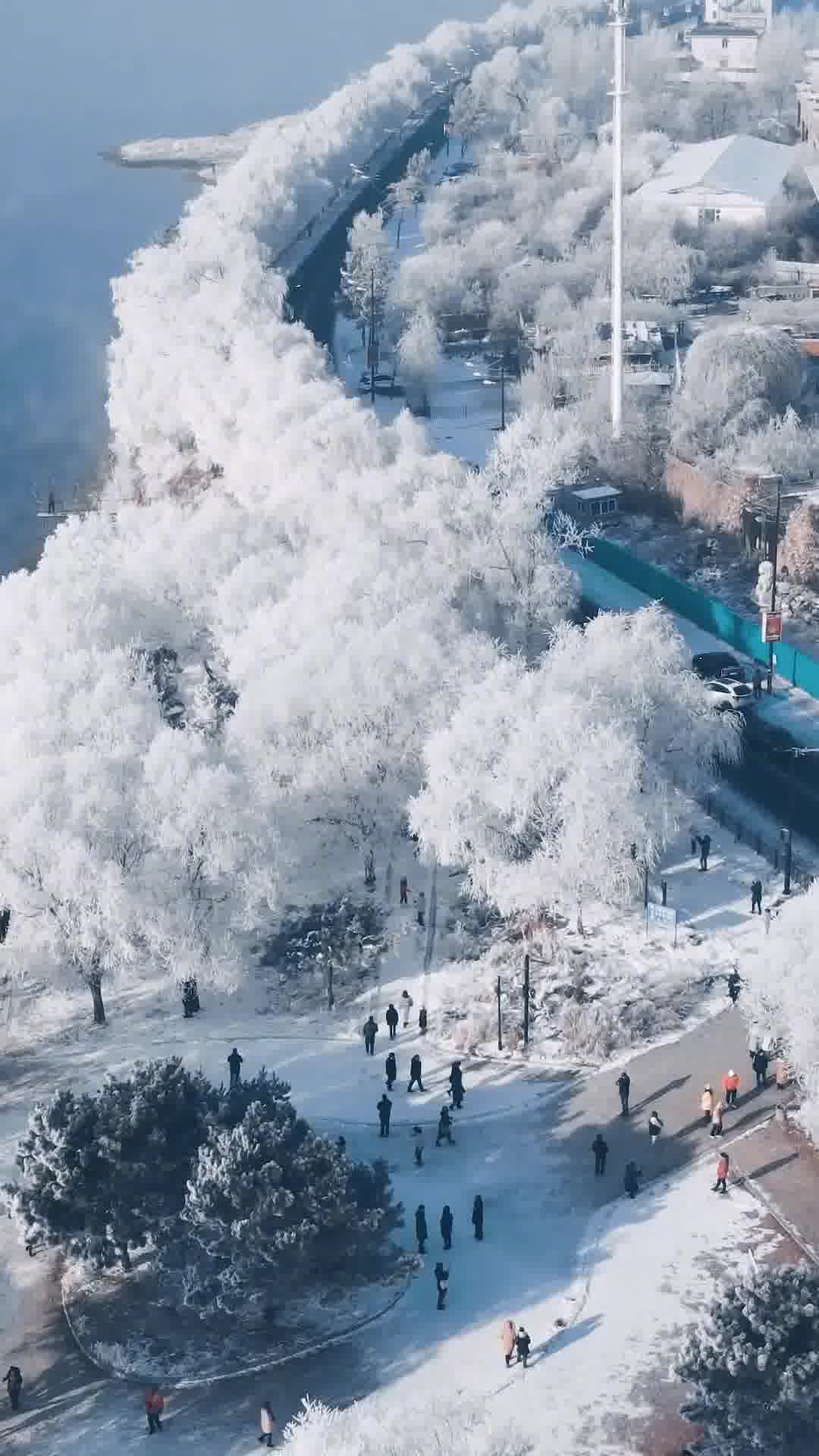 北国风光，吉林魅力无限