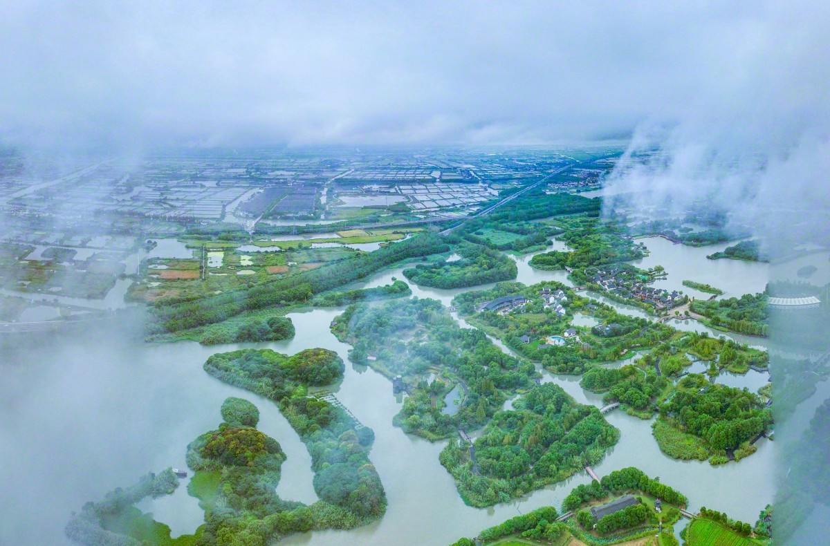 江苏之旅，探寻自然之乐，重拾内心宁静