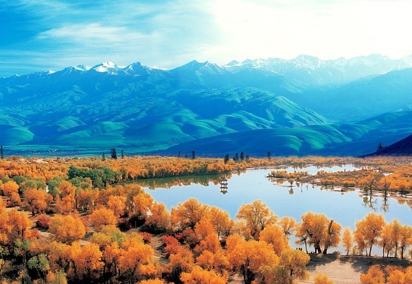 新疆日报聚焦新疆发展动态