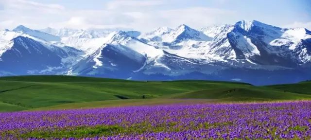 新疆日报聚焦新疆发展动态